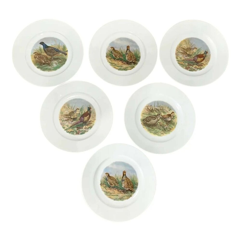Vintage Wildlife Pheasant Porcelain Salad Plates by Heinrich Germany - Set of 6